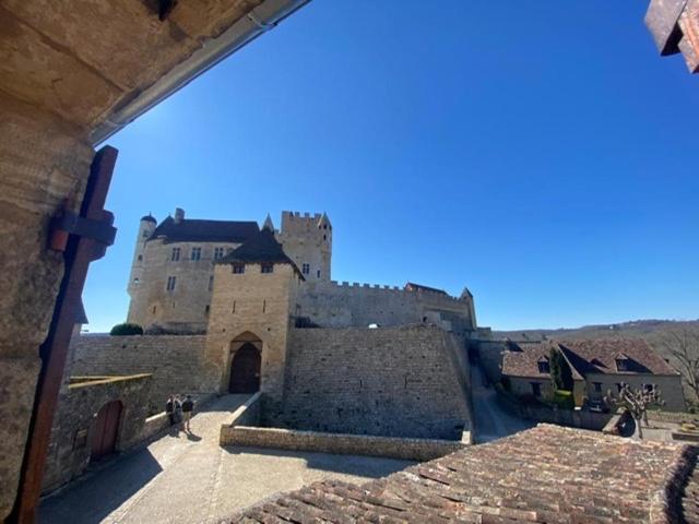 La Croquante Face Au Chateau Beynac-et-Cazenac Exterior photo